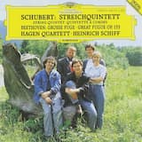 Streichquintett C-dur, D 956: Allegro ma non troppo
