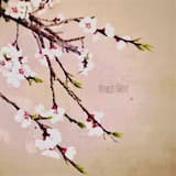 When Quiet Moments Prevail