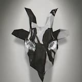 Spewn From the Earth