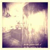 Rune X - Hidden deep in Waldheim, the beating heart of the forest wolves