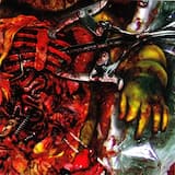 Der Westen ist geschockt