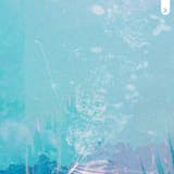 Lure Me Into Your Heart