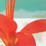 Gonna Be (video mix)