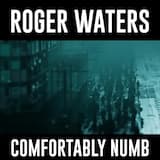 Comfortably Numb 2022