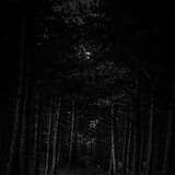 Single (2) - Swallowed by Shadows