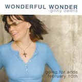 Wonderful Wonder (radio version)
