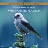 Morning In The Mountains