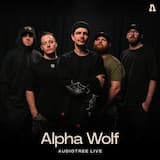 Bring Back the Noise (Audiotree live version)