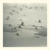 And The World Was Gone (Roly Porter Mix)