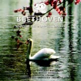 Sinfonie Nr. 9 D-Moll, Op. 125: I. Allegro ma non troppo, un poco maestoso