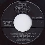 The Spider And The Fly