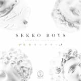 星空ランデブー (covered by ボンジュール鈴木)