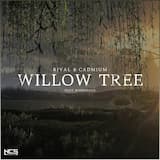 Willow Tree