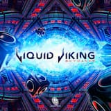 Bring the Noise (Liquid Viking remix)