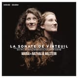 Sonate pour violon et piano en ré mineur, op. 36 : III. Andante non troppo - Allegretto un poco agitato