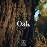 The Great Oak Tree