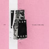 Aesculus X Carnea (Irakli remix)