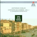 Concerto no. 1 in F major RV 98 'La Tempesta di mare' for recorder, oboe, violin, bassoon, two ripieno violins, viola and basso continuo: I. Allegro