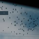 September 13, 2012 – Fragment 33