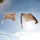 No Halo (Rearranged 2018)