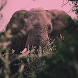 Billowing Light (Ki Oni edit)