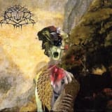 Dimensional Bleedthrough