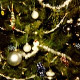 Boiled Custard Beats