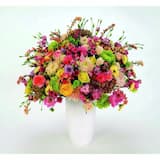 Eure Liebe tötet mich