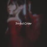 Perfect Crime