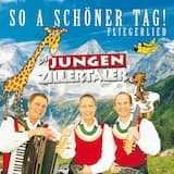 So a schöner Tag - Fliegerlied (Radio Edit)