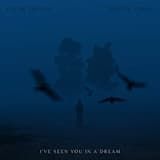 I've Seen You in a Dream