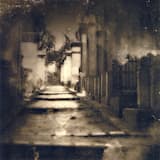 La Clameur du silence