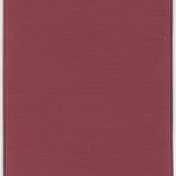 The Injury Specialist