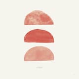 Vaishnava Jana To / Quiet Joys of Brotherhood