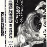 The End Moments as I Position the Blade Above a Spot on Her Chest Where the Heart Should Be