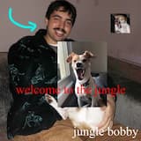 welcome to the jungle