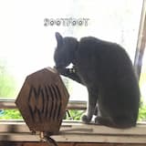 Ready to Take Off...