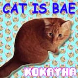 CAT IS BAE