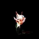 Gajalu | Nepalese Hiphop Music