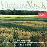 Slovak Suite for Small Orchestra, op. 32: In the Church. Andante