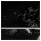 This Is All a Dream and Soon I Will Awake