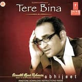 Kabhi Yaadon Mein Aaun