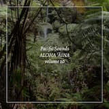 Predawn, Mauna Loa Slope, Hawaiʻi Island