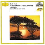Violin Concerto in A minor, op. 53, B. 108: 1. Allegro ma non troppo - Quasi moderato