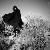 Spirit of the Black Wolven Dogs and the Wild White Horses