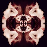 Dream Within a Dream