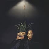 Corazón de fuego, corazón de hielo