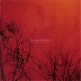 A Hammer Parade Falls From the Sky