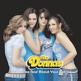 Too Bad About Your Girl (radio remix)