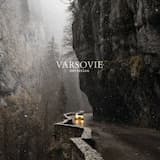 The Passion Of Lovers (Bauhaus - Cover)